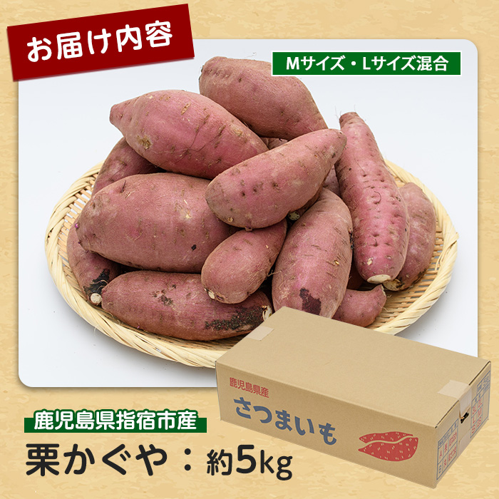 【2026年11月上旬以降～順次発送】らくと農園の栗かぐや約5kg(らくと農園/IB084-003) さつまいも おやつ さつま芋 焼芋 やきいも 焼きいも スイーツ