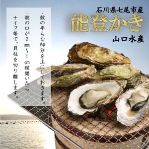 山口水産の能登かき 殻付き 3kg(18～22個入)【配送不可地域：離島・北海道・沖縄県・東北・四国・九州】【1374846】