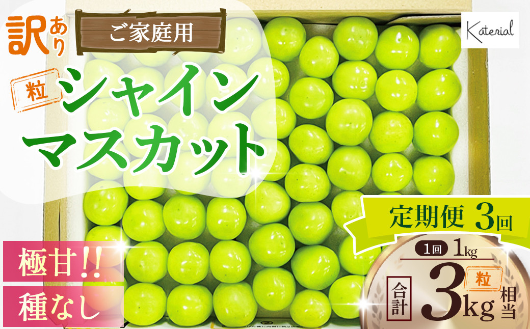 
            2025年発送【訳アリ】【定期便】粒シャインマスカット 約1.0㎏×3回 山梨県産 国産 産地直送 人気 おすすめ フルーツ 果物 くだもの ぶどう ブドウ 葡萄 わけあり ワケアリ 新鮮 甘い 皮ごと 山梨県 甲斐市 AD-278
          