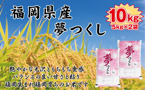 【ふるさと納税】【令和7年産新米先行予約】食味鑑定士厳選　 福岡県産夢つくし10kg（5kg×2)_BZ-001