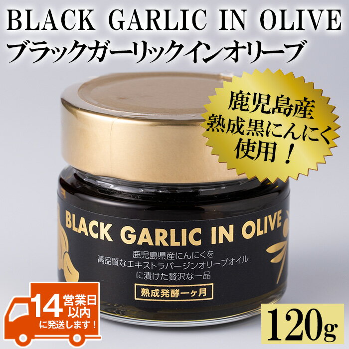 【ふるさと納税】ブラックガーリックインオリーブ(120g×1本・固形60g) BLACK GARLIC IN OLIVE ニンニク にんにく 黒にんにく ガーリック 油 オリーブ 調味料【鹿児島オリーブ】