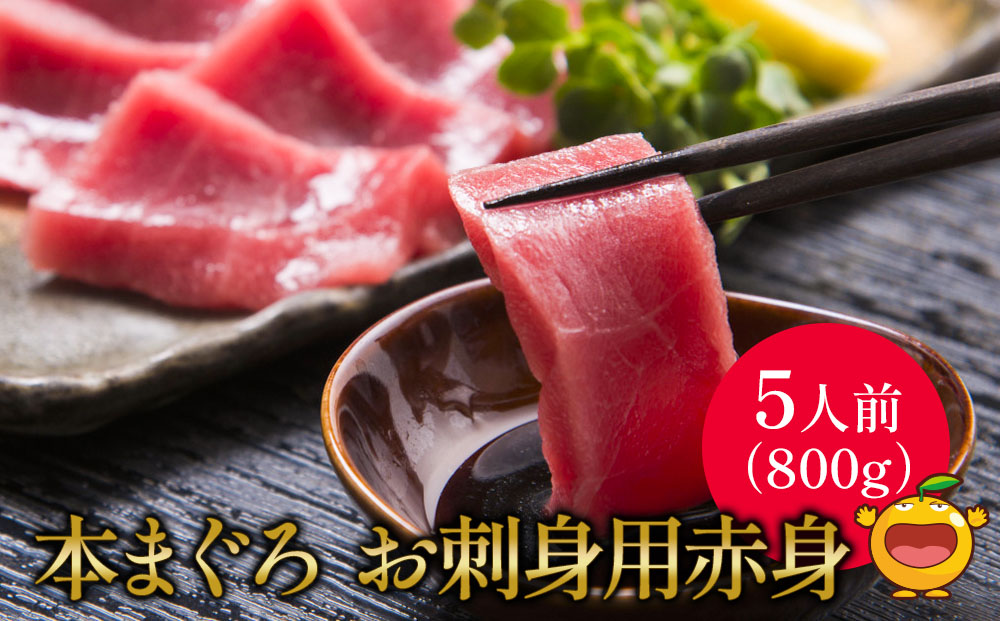 本マグロ まぐろお刺身用 赤身5人前(800g) 鮪 海鮮丼 刺し身 刺身 盛り合わせ 冷凍 魚の刺身 大分県産 九州産 津久見市 熨斗対応【tsu000301】