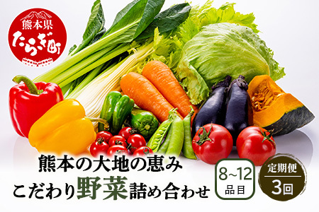 【定期便3回】熊本の大地の恵み 旬の こだわり野菜詰め合わせセット 8〜12品 （3〜4名様向け）3回配送 獲れたて 新鮮 野菜 セット 詰め合わせ 詰合せ 定期便 産地 直送 国産 季節 旬野菜 家族 ファミリー 多良木町 024-0810