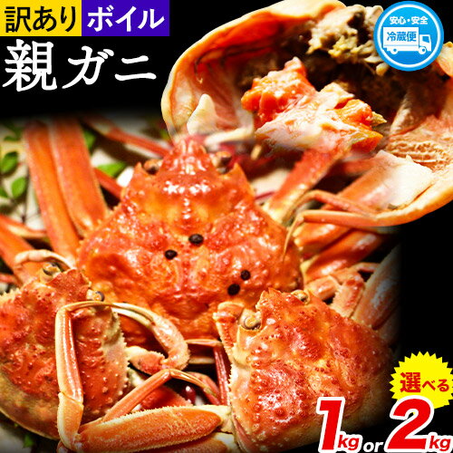 【ふるさと納税】 ボイル 訳あり 親ガニ カニ 選べる 1kg 2kg さんチョク《2025年11月中旬-2026年1月上旬頃出荷》鳥取県 八頭町 送料無料 蟹 かに 鍋 ズワイガニ ズワイ蟹 ボイル 冷蔵 セコガニ