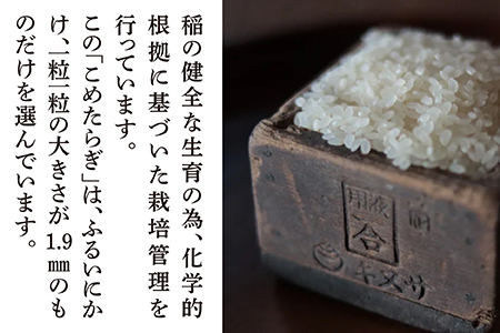 令和5年度米 多良木町産 こめたらぎ 30kg ×1袋 お米 新米 白米 精米 熊本県産 多良木町 にこまる 有機肥料使用 大容量 ふっくら 甘い 044-0509-a