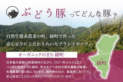 国産 豚肉 ブランド 豚 綾ぶどう豚 よりどり 詰め合わせ 3か月 定期便 セット ロース スライス 生姜焼き バラ 焼肉 小間切れ モモ スライス ミンチ しゃぶしゃぶ（22-36）