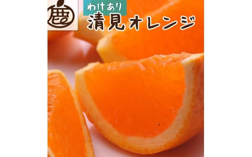 ［先行予約］家庭用 清見オレンジ10kg+250g（傷み補償分）［光センサー食頃出荷］［樹上完熟きよみオレンジ・清見タンゴール・清美］［わけあり・訳あり］［IKE64］