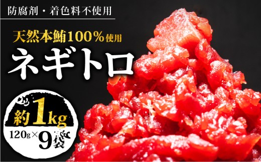 【スピード発送】 天然本鮪100％使用 ネギトロ 約1kg(120g×9) 小分け 冷凍 保存料無添加 着色料無添加 植物油不使用 天然本まぐろ 赤身 中トロ 大トロ 本まぐろ 本鮪 鮪 まぐろ ねぎまぐろ トロ 刺身 さしみ 刺し身 鮮魚 まぐろ赤身 魚介 魚 マグロ 漬け ユッケ 海鮮丼 国産 天然まぐろ 高級 天然 人気 寿司 本鮪 お正月 年末 三陸 大船渡 ギフト ごちそう