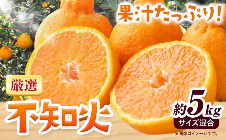 
            みかん 不知火 厳選 5kg サイズ混合 GOGO農園《2026年1月下旬-3月末頃出荷》 和歌山県 日高川町 しらぬい みかん 柑橘 蜜柑 フルーツ 送料無料 st-p
          