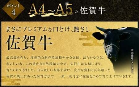 【2025年9月初登場】 佐賀牛 リッチな霜降り 大判 切り落とし 2kg （500g×4） 【11月発送】 ／ 黒毛和牛 和牛 牛肉 お肉 肉 霜降り 九州 福岡県 太宰府市 冷凍