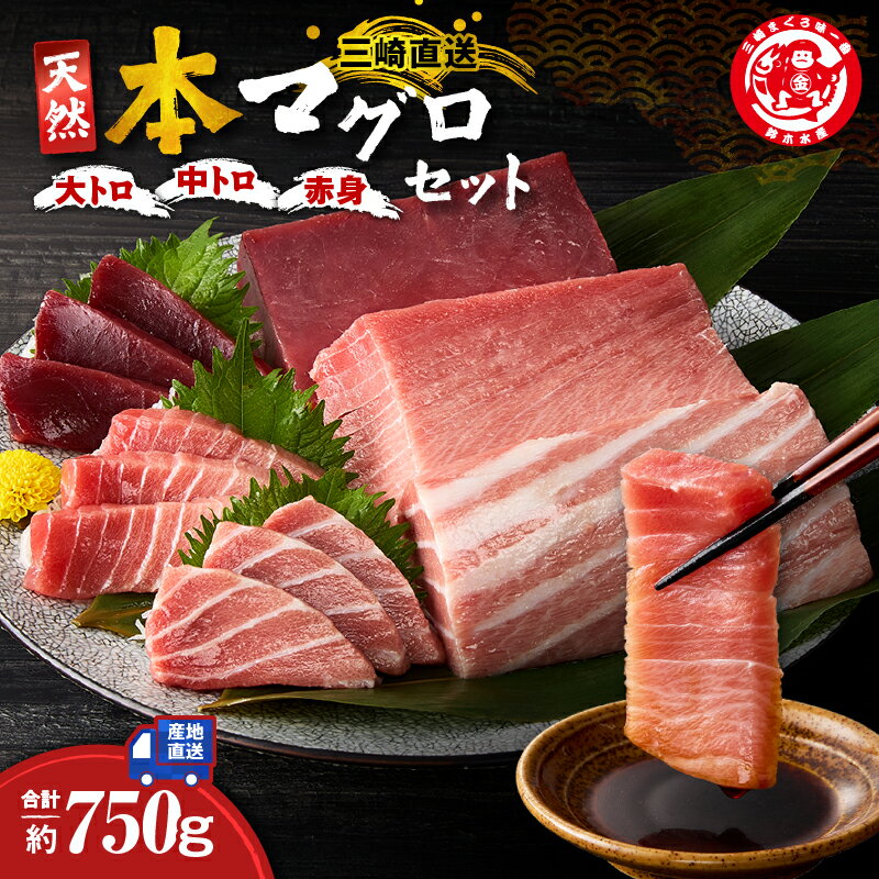 【ふるさと納税】 三崎マグロ 鈴木水産 天然本マグロ 大トロ 中トロ 赤身 セット 750g 本まぐろ 本マグロ トロ 天然 おいしい 三崎まぐろ 食べ比べ 刺身 寿司 カルパッチョ かつ ユッケ パスタ ツナ ふるさと納税 神奈川県 三浦市 おすすめ ランキング プレゼント ギフト