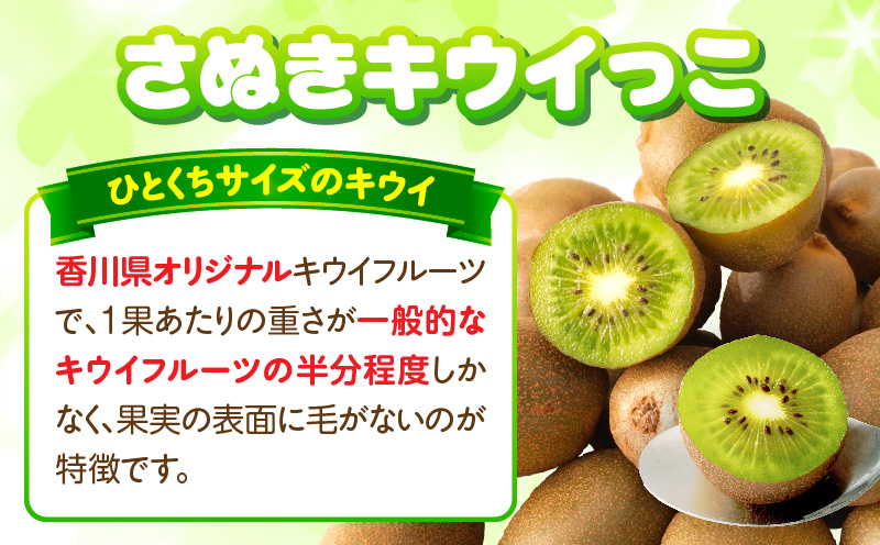 【先行受付】香川県オリジナルキウイフルーツ「さぬきキウイっこ」約3kg【香川県共通返礼品】  キウイ キウイフルーツ 果物 フルーツ 青果 青果物 さぬきキウイっこ 果実 贈答 贈り物 ギフト 甘い 