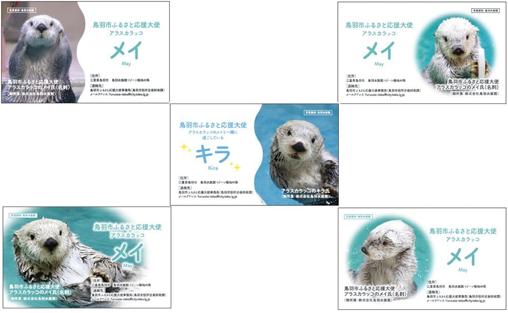 
            K-3「メイ氏の名刺」５種セット（うち１種はキラ（ラッコ）カード）
          