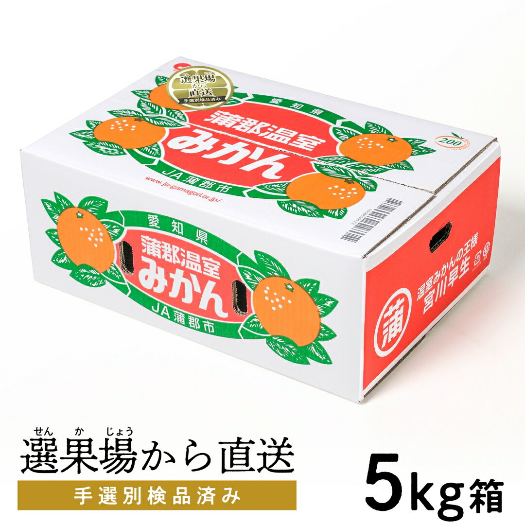 【ふるさと納税】G0356【期間限定】蒲郡温室 みかん 5kg（秀品）ハウスみかん ミカン