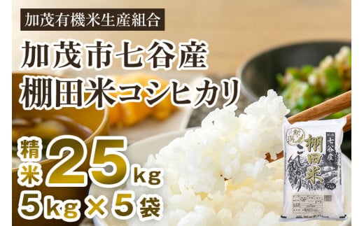 【令和7年産新米先行予約】新潟県加茂市 七谷産 棚田米コシヒカリ 精米25kg（5kg×5） 《10月中旬から順次出荷》 白米 加茂有機米生産組合