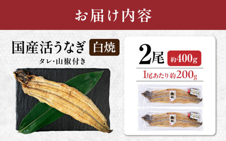  国産活うなぎ2尾（白焼）[AQDF011] 鰻 白焼き