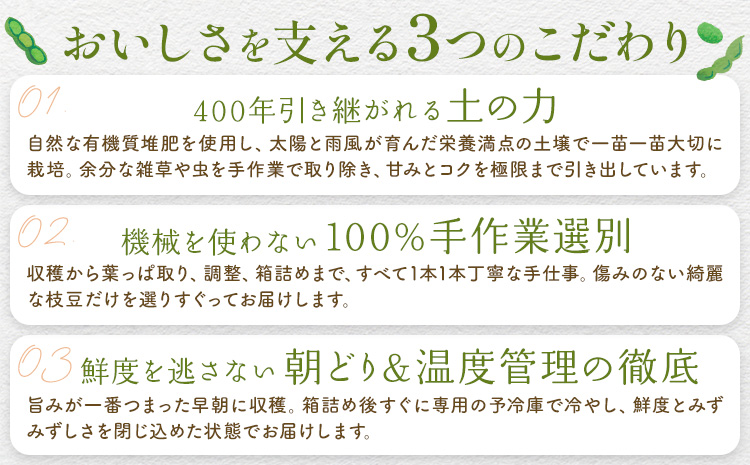 枝豆の聖地・千葉県野田市産！枝付き枝豆 約2kg