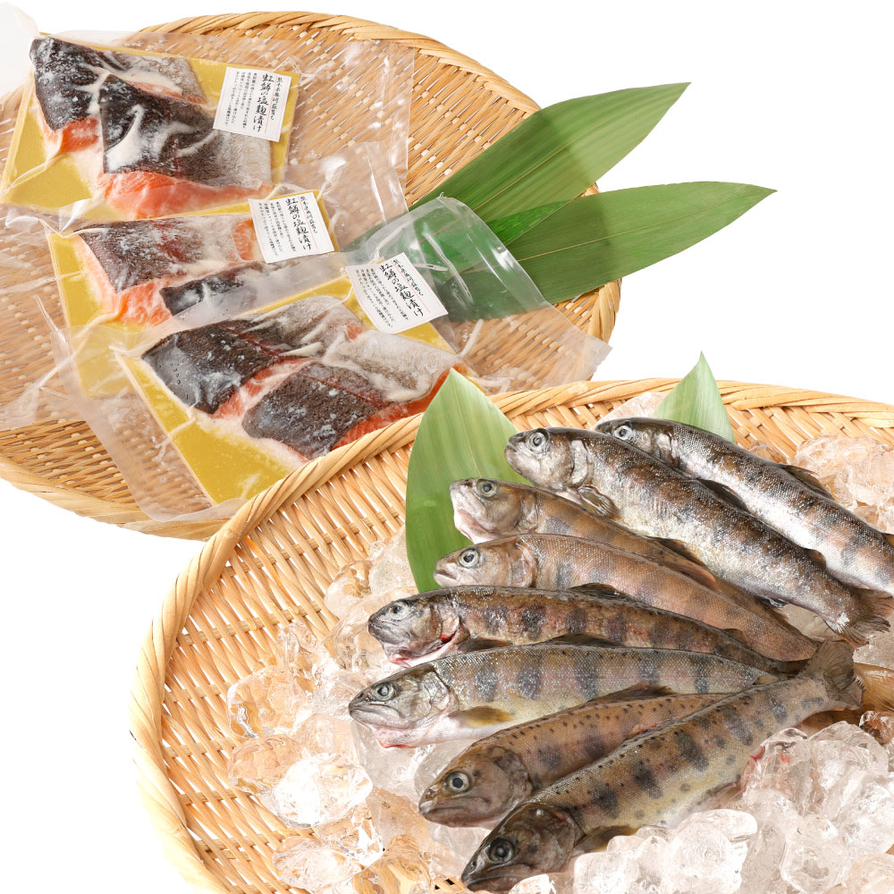 【ふるさと納税】阿蘇から届く かわべの湧水やまめ (8匹) と かわべのASOサーモン塩麴仕立て (480g) セット 2種 魚 川魚 内臓処理済 ヤマメ 塩こうじ 焼き魚 真空パック 個包装 キャンプ BBQ 焼くだけ 冷凍 熊本県産 九州産 国産 送料無料