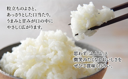 【令和7年度米】【9ヶ月定期便】富山県産米「富富富」10kg（5kg×2袋）（精米）｜9ヶ月定期便 9回 9ヶ月 富富富 ふふふ こめ コメ お米 おこめ 白米 精米 ブランド米 雪解け水 冷めても 美味しい おにぎり お弁当 高品質 魚津市 ※北海道・沖縄・離島への配送不可