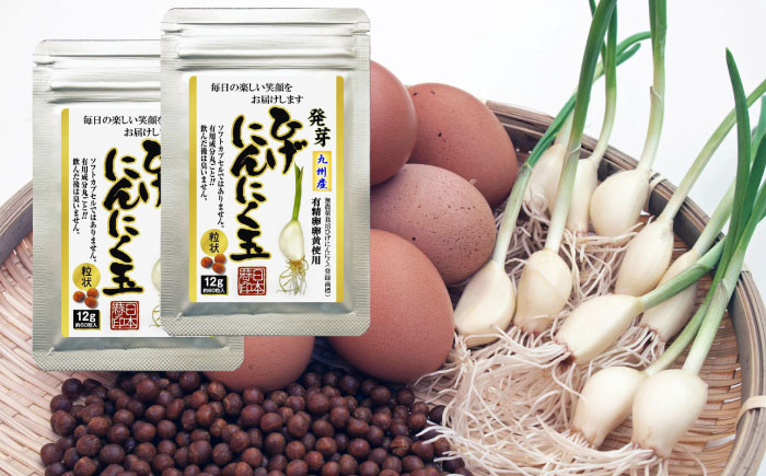 ひげにんにく玉 2袋（1袋60粒入） / 健康食品 / 佐賀県 / 日本にんにく [41AAAO002]