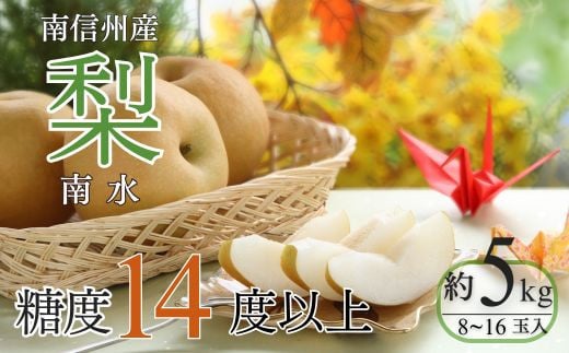 A-30 梨　南水　約5㎏【8～16玉】※2026年発送　先行予約分※