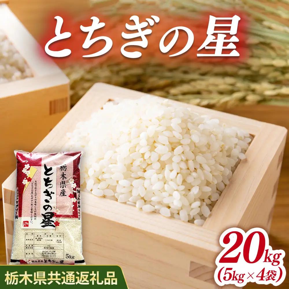 米 とちぎの星 20kg(5kg×4) 栃木県産【栃木県共通返礼品】