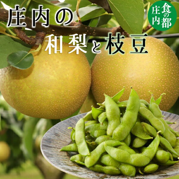 【ふるさと納税】食の都庄内　庄内の和梨2kgと枝豆1kg※9月中下旬配送（有限会社庄内旬青果）