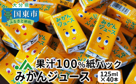 果汁100％紙パック みかんジュース 125ml×40本 【数量限定】_1521R