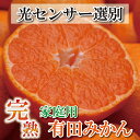 【ふるさと納税】 家庭用　完熟有田みかん 2.5kg+75g(傷み補償分) / 4kg+120g(傷み補償分) / 5kg+150g(傷み補償分) / 7kg+210g(傷み補償分) / 10kg+300g(傷み補償分) 【わけあり・訳あり】【光センサー選別】＜2024年11月中旬～2025年1月下旬ごろ順次発送＞