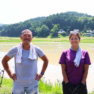 【令和7年度産】減農薬ミルキークイーン 精米 5kg / 米 農家直送 低農薬 綾部市 / 森本ファーム［BSDH130］