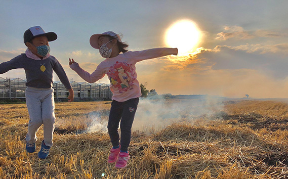 特別栽培　彩のかがやき　精米５kg No.301
