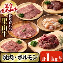 【ふるさと納税】国産黒毛和牛 牧草育ちの里山牛 焼肉・ホルモンセット 計1kg以上! 黒毛和牛 和牛 肉 牛肉 国産 ロース カルビ 赤身 切り落とし ホルモン 焼肉 BBQ【さかうえ】b8-031