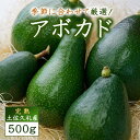 【ふるさと納税】土佐久礼産完熟アボカド　500g