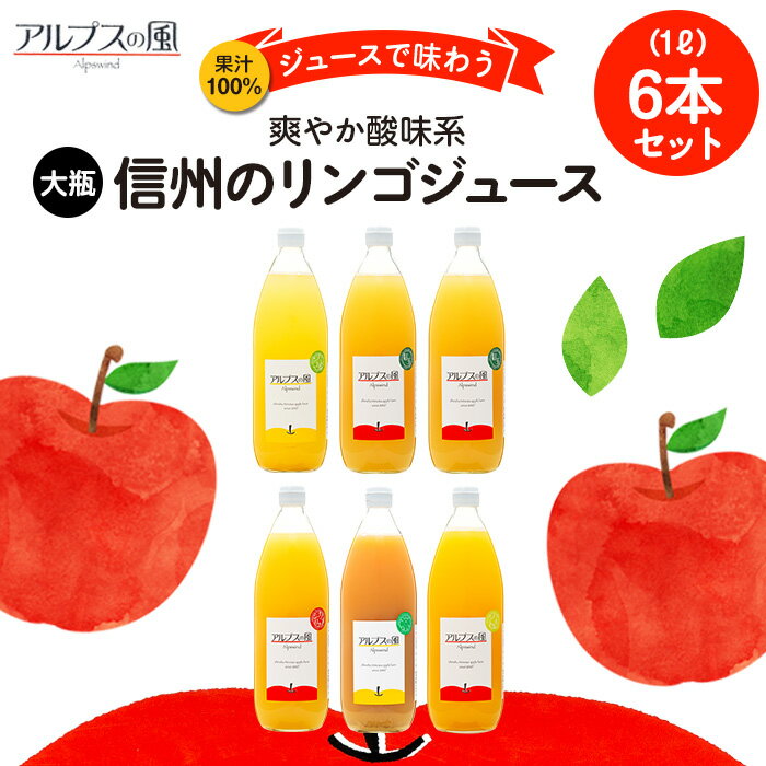【ふるさと納税】果汁100％ジュースで味わう 信州のリンゴ 爽やか酸味系 大瓶 6本 セット 詰め合わせ りんご 林檎 アップル アップルジュース ミックスジュース 無添加 飲料 飲料類 甘い 濃厚 長野 長野県