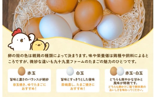 【定期便12回】九十九里ファームこだわりたまご贈答用30個～あおい海・みどりの里～《赤玉》 ／ たまご 卵 玉子 タマゴ 生卵 卵かけご飯 鶏卵 30個 定期便 12回 赤玉　30個×12回