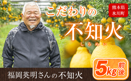 福岡農園 不知火 5kg 《1-5日以内に出荷予定(土日祝除く)》熊本県 氷川町 柑橘 果物 フルーツ