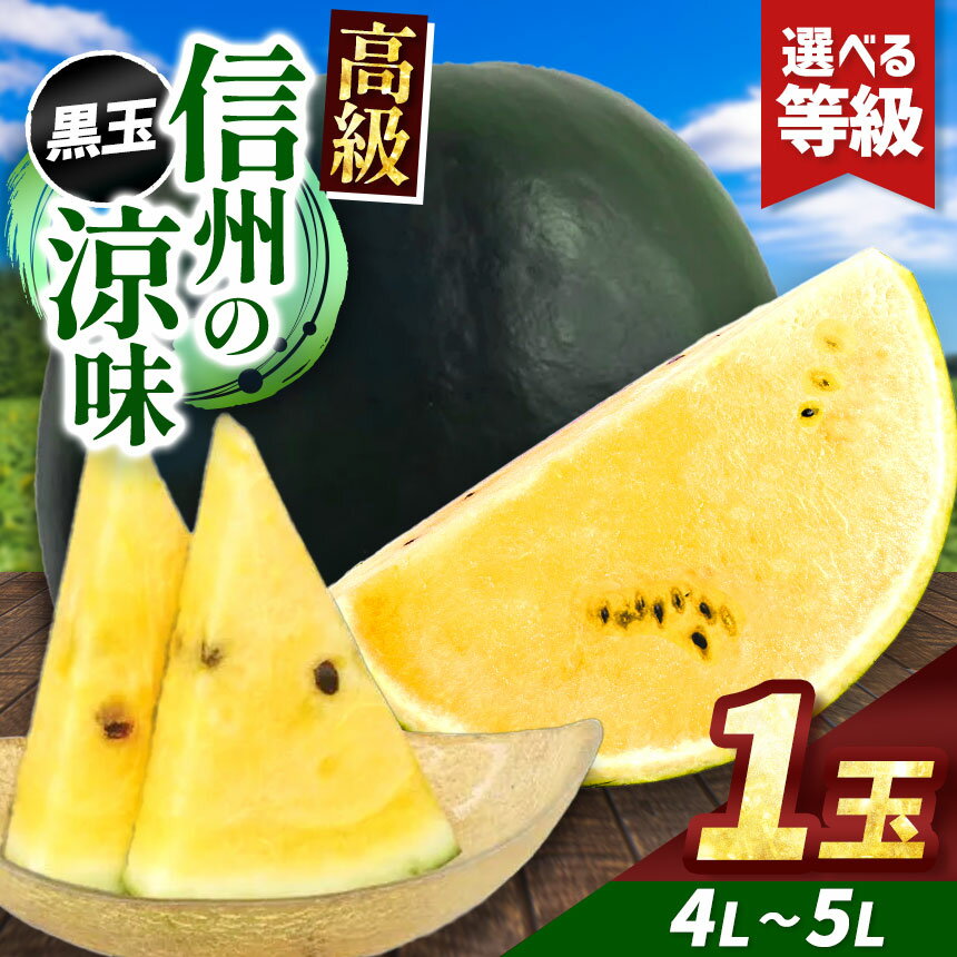 【ふるさと納税】先行予約【選べる】信州波田産 高級 黒玉スイカ！信州の涼味 4L～5Lサイズ 1玉 ｜ふるさと納税 長野県 信州 松本 果物 フルーツ すいか スイカ 西瓜 贈答 季節限定 甘い くだもの ふるーつ