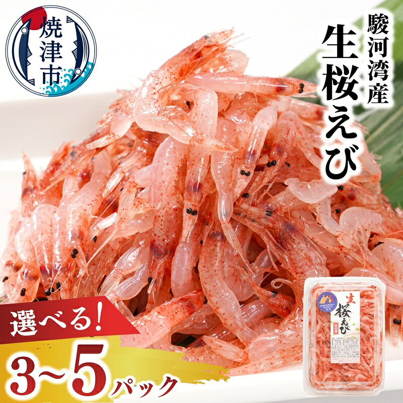 【ふるさと納税】 【選べる内容量】 生桜えび 桜えび 天然 生食 100g 3パック 5パック 焼津特選 駿河湾 産地直送 サクラエビ 刺身 かき揚げ 冷凍 魚介 焼津 a10-679 a15-562