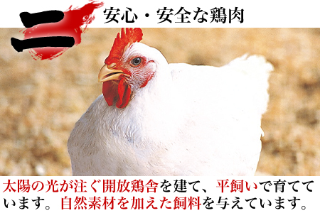 唐津市産 若鳥むね肉ささみ合計8kgセット 鶏肉 唐揚げ 親子丼 お弁当「2023年 令和5年」