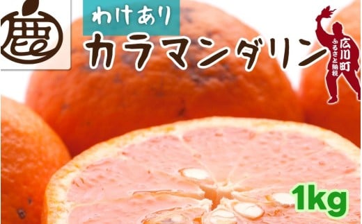 カラマンダリン 1kg+250g （痛み補償分） 家庭用 / カラ カラオレンジ カラみかん 南津海 なつみ 訳あり 和歌山 有田 柑橘 晩柑 ※4月上旬〜5月順次発送 ※北海道・沖縄・離島への配送不可 【ikd015-c-1】