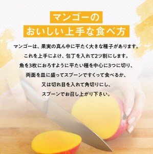 【令和8年発送】宮崎県産完熟マンゴー 三國農園完熟マンゴー2玉（約1kg）フルーツ マンゴー