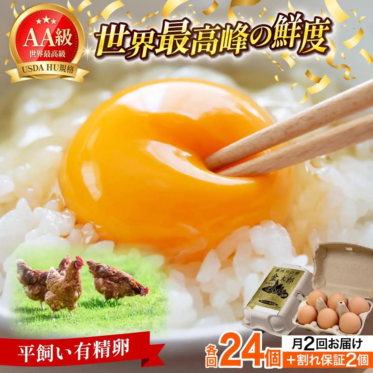 ≪月2回発送≫【TVで紹介】鮮度ＡＡ級の世界最高ランク！金太郎卵 平飼い たまご 計48個(24個×月2回)