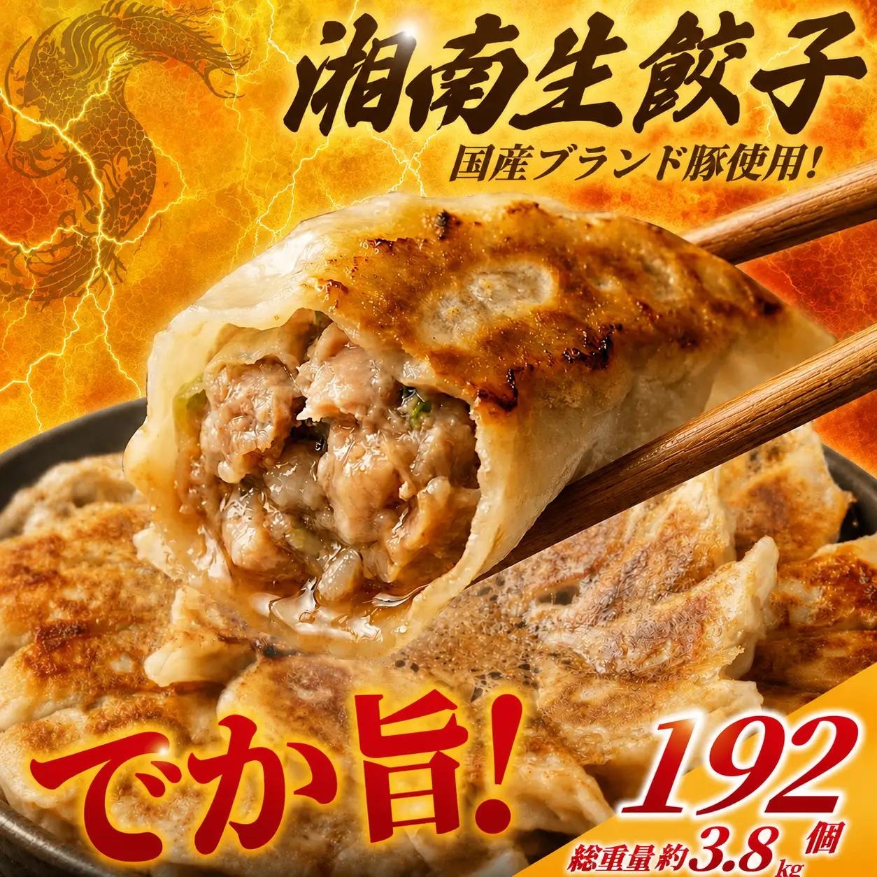 ブランド豚使用 湘南生餃子 192個 約3.8kg【 餃子 ぎょうざ 】