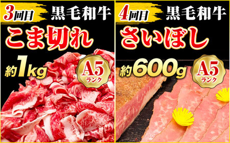【4ヶ月定期便】A5黒毛和牛 お試し 定期便 合計 3.4kg