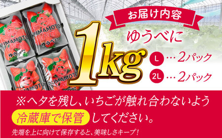 【先行予約】大粒いちご L〜2L ゆうべに 1kg（4pc）【熊本ベリー】熊本県産いちご くだもの いちご イチゴ 苺 ゆうべに 大粒いちご  国産いちご 熊本県産いちご 九州産いちご ゆうべにいちご