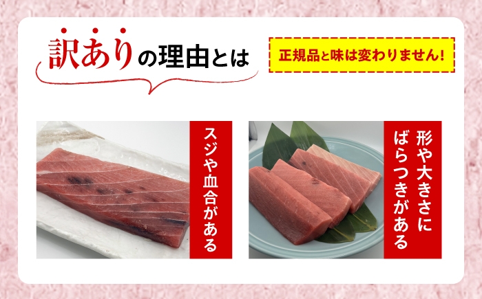 【訳あり】天然 まぐろ 中トロ メバチ 計約900g (4柵入り) 鮪 マグロ まぐろ 魚 刺身 中とろ さしみ 横須賀