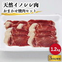 【ふるさと納税】【3回定期便】ジビエ 天然 イノシシ肉 おまかせ焼肉セット 1,200g （ロース・モモ・バラ）【照本食肉加工所】[OAJ034] / 猪 いのしし しし鍋 猪肉 お肉 焼き肉 BBQ 冷凍 九州産 長崎県産 産地直送 じびえ もも肉 やきにく BBQ ぼたん鍋 脂身 赤身 スライス