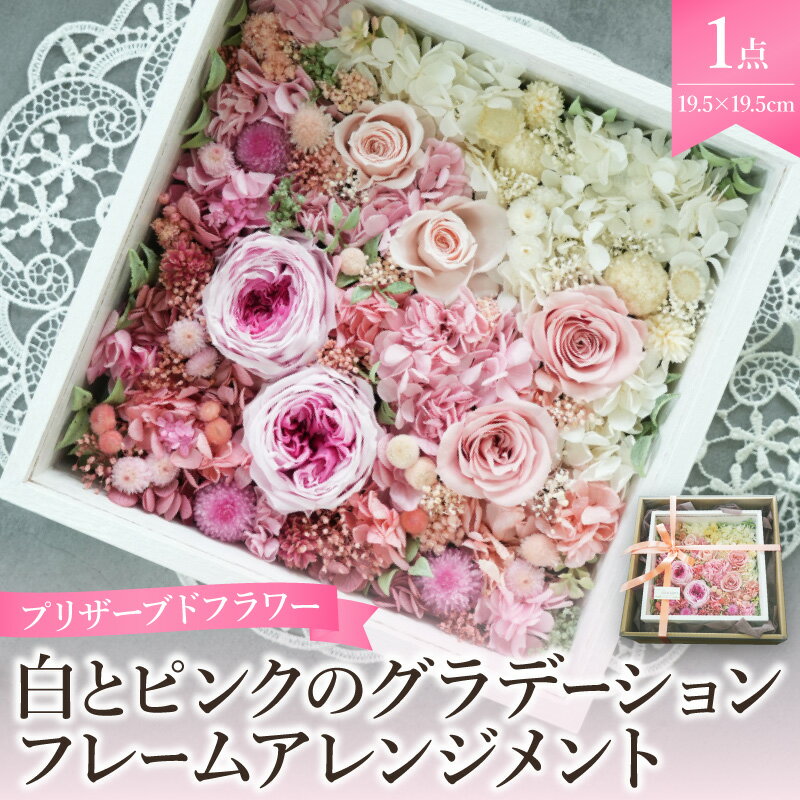 【ふるさと納税】プリザーブドフラワー 白 と ピンク の グラデーション フレーム アレンジメント 額縁タイプ 花 バラ アジサイ 小花 グリーン フラワー インテリア 装飾品 誕生日 母の日 記念日 結婚 卒業 入学 出産祝い お祝い フラワーギフト 大阪府 吹田市