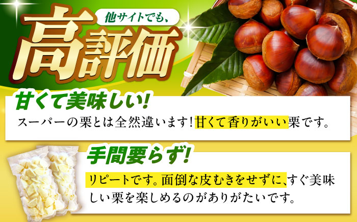 冷凍むき栗「日本栗」 カット500g（250g×2P）/ 栗 冷凍 生栗 くり むき栗 マロン 低温熟成 日本栗 国産 和栗 岐阜県産 恵那市産 産地直送 送料無料 お取り寄せ ギフト 贈答 / 恵那