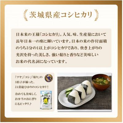 ふるさと納税 下妻市 茨城県産 コシヒカリ 10kg(5kg×2袋)【令和7年産/精米】 お米 |  | 01